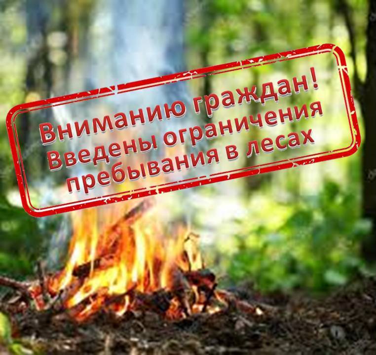 Введены ограничения пребывания граждан в лесах Кабардино-Балкарской Республики 