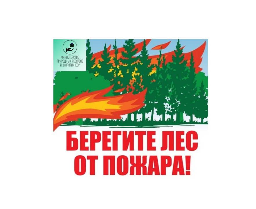Берегите лес от пожара!