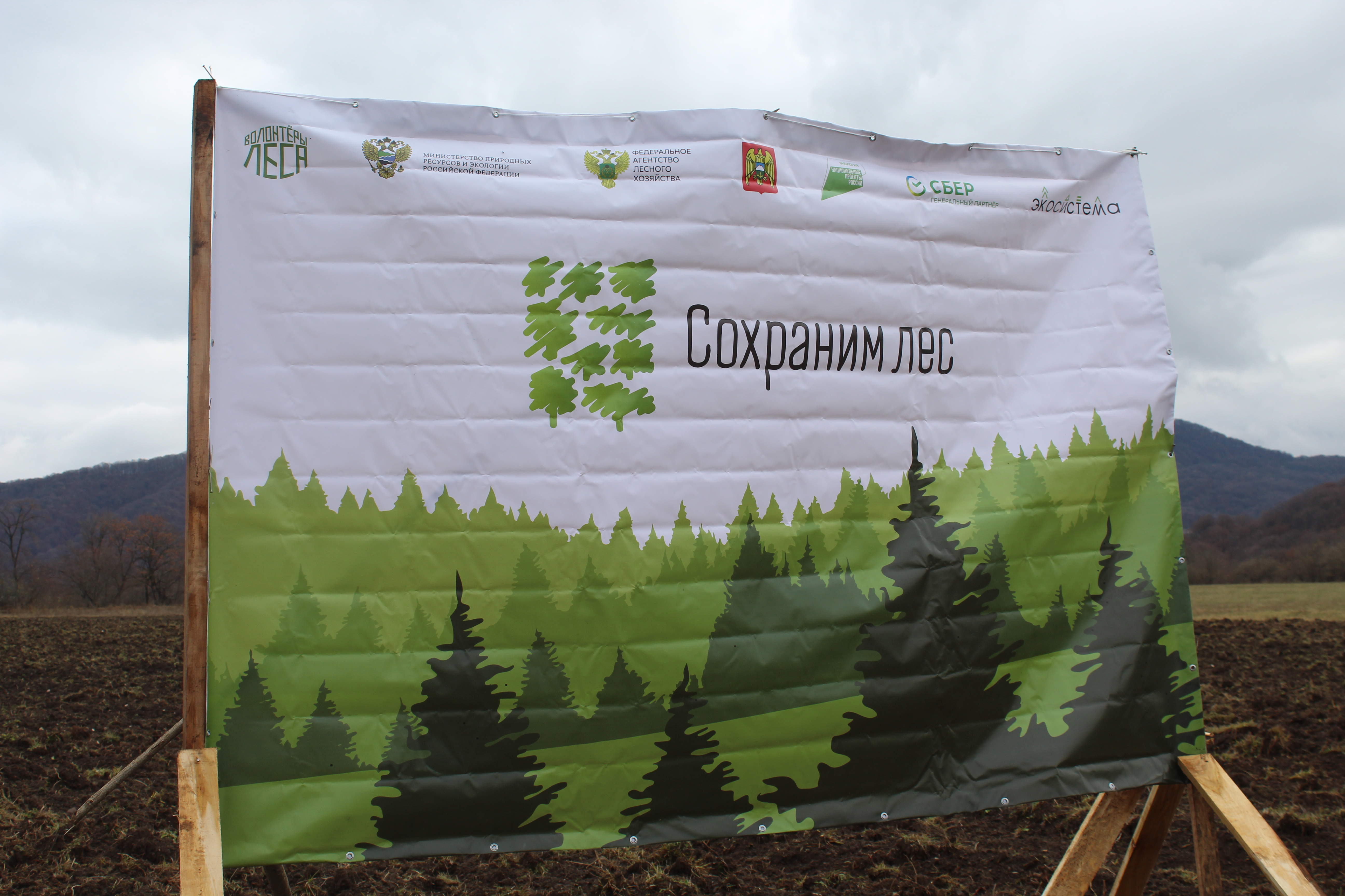 В Кабардино-Балкарской Республике состоялось центральное мероприятие Всероссийской акции "Сохраним лес"