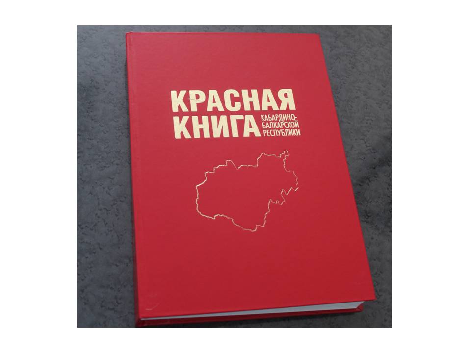 Заседание межведомственной комиссии по ведению Красной книги КБР 