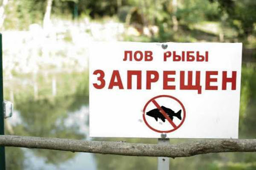 Минприроды КБР усилит охрану рек в период нереста 