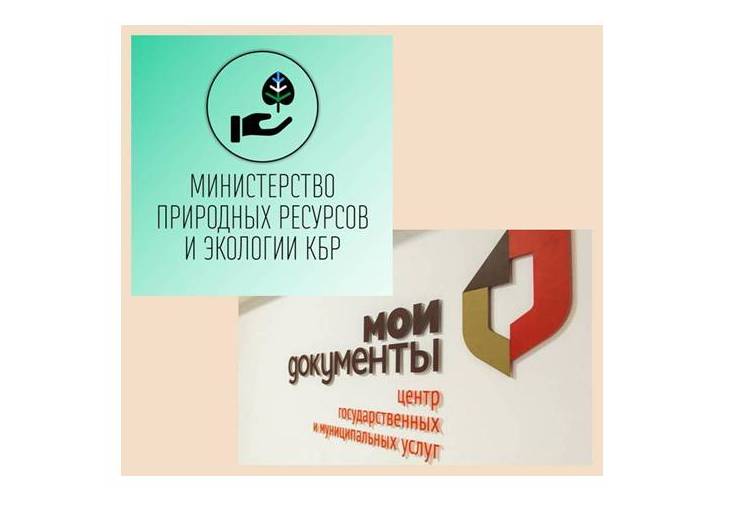Внедрение предоставления социально-массовых значимых услуг без посещения исполнительного органа власти 