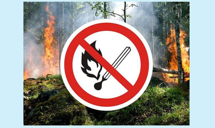 Противопожарная обстановка в лесах Кабардино-Балкарской Республики за период с 30.07 по 05.08