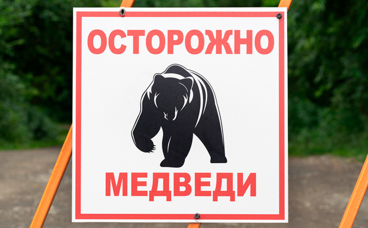 Граждане и гости Кабардино-Балкарии! Соблюдайте осторожность,  воздержитесь от посещения  лесных массивов