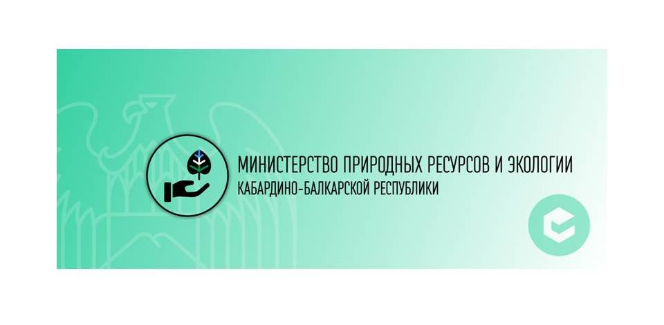Инфорация о медведе