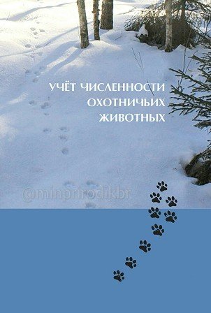 Продолжаются мероприятия по государственному учету и оценке численности  охотничьих животных