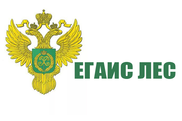 Информация о необходимости дополнительного информирования по внесению сведений в ЛесЕГАИС