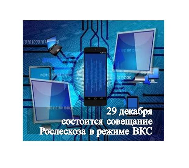 29 декабря состоится совещание Рослесхоза в режиме ВКС