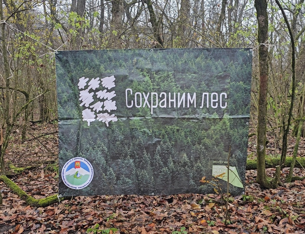 Cостоялось центральное мероприятие в рамках Всероссийской акции «Сохраним лес».