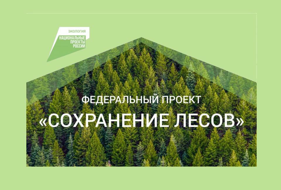 Лесовосстановление