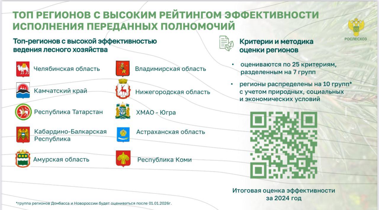 Кабардино-Балкарская Республика вошла в топ российских регионов по эффективности ведения лесного хозяйства в 2024 году