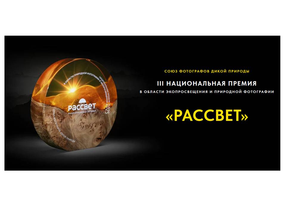 Конкурс в области экопросвещения и фотографии «Рассвет»