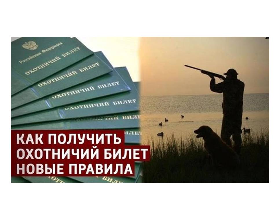 Экзамен на знание требований охотничьего  минимума с 1 сентября!
