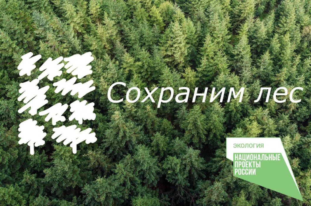 Минприроды КБР проведено центральное мероприятие в рамках Всероссийской акции «Сохраним лес»