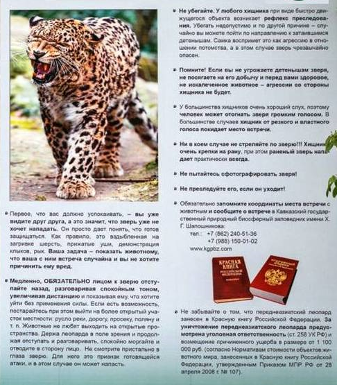 2Безымянный.png